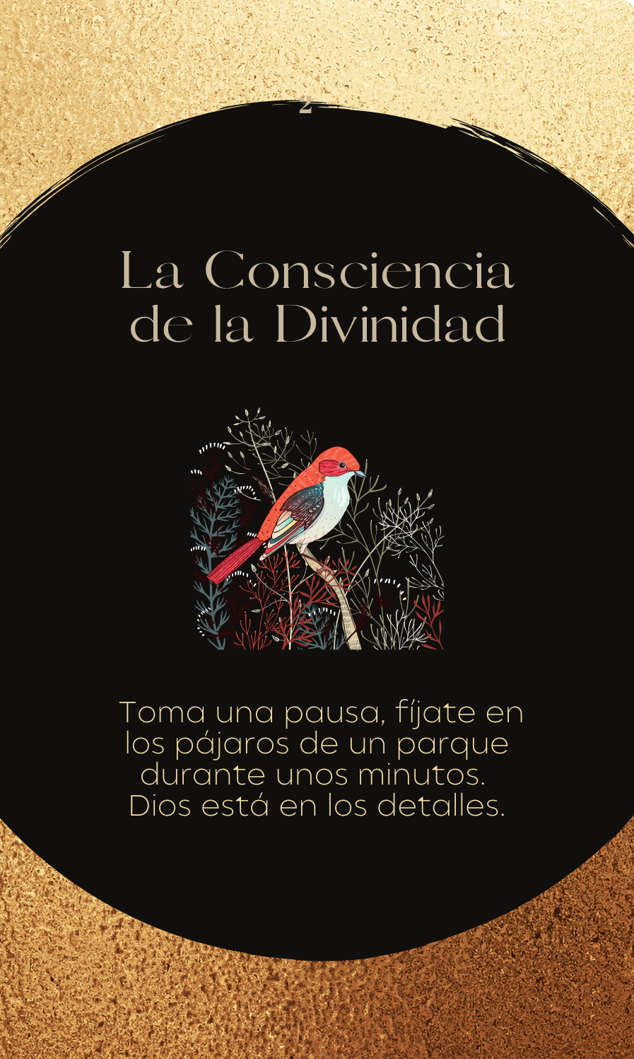 Carta Luz o Cruz nº 29